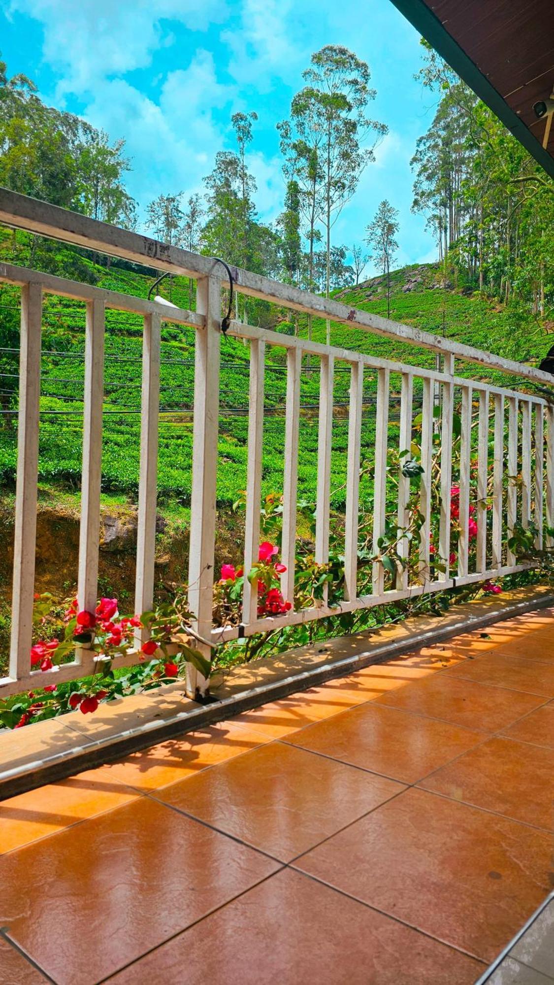 Adams Peak Grand Hotel Nallathanniya Kültér fotó